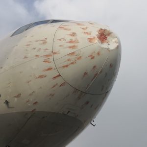 Cum arată botul unui avion după impactul cu un stol de păsări - FOTO