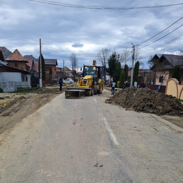Autoturismului? A Nu Se Pot Executa Viraje B Creşte Instabilitatea Accident între o Dacia 1310 și un excavator. La volanul autoturismului