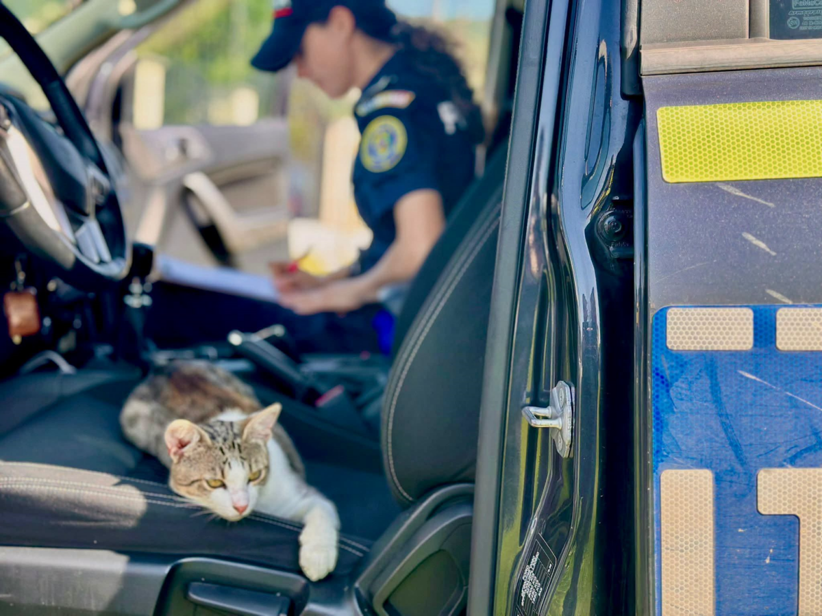 Sursa foto: Poliția Română / Facebook