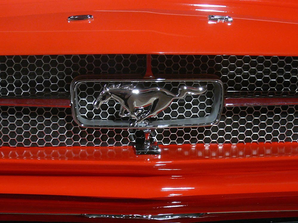 Mustang in detaliu