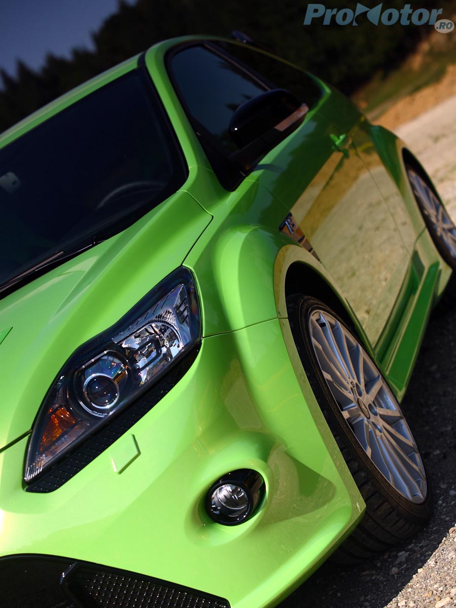 Verde tipator pentru RS